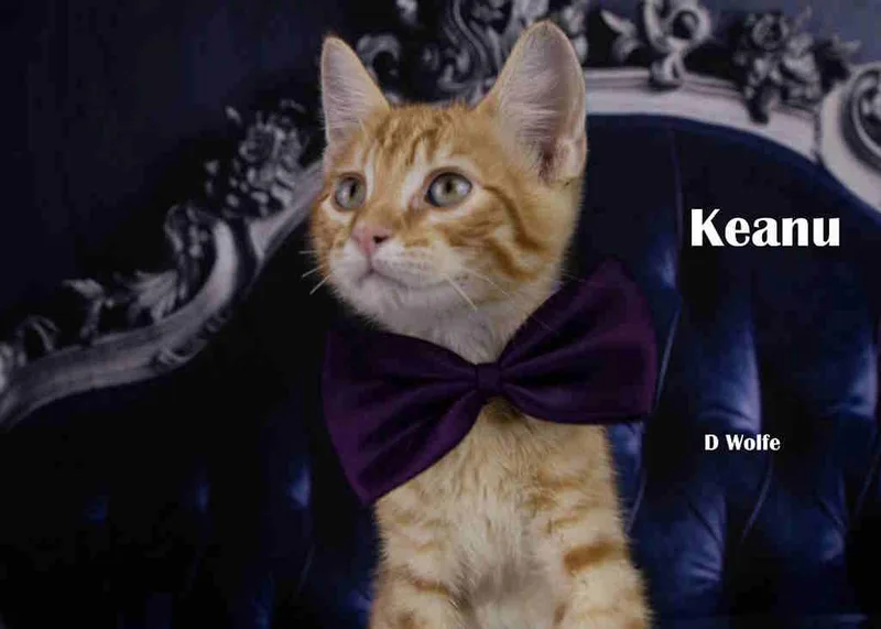 Keanu thumbnail 3