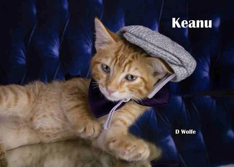 Keanu thumbnail 4
