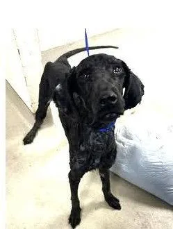 Ozzie Athens thumbnail 2