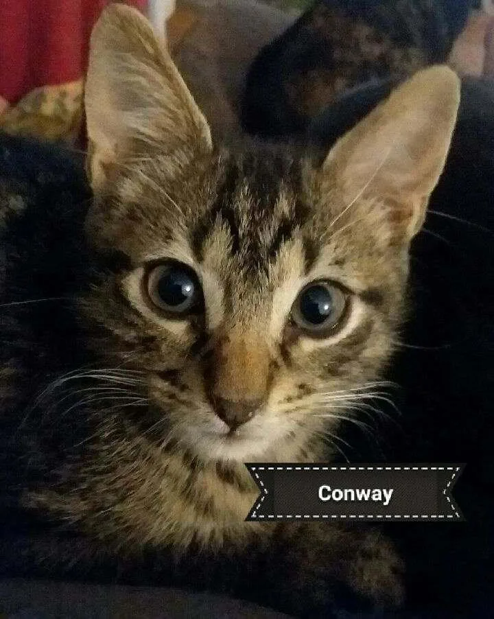 Conway