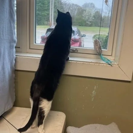 Waverly Grace thumbnail 2