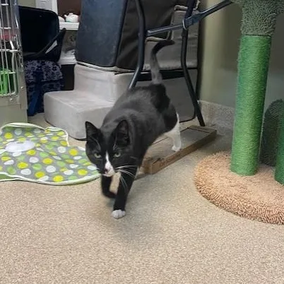 Waverly Grace thumbnail 3