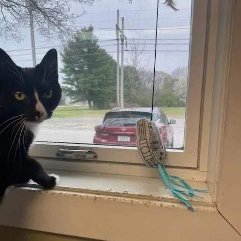 Waverly Grace thumbnail 4