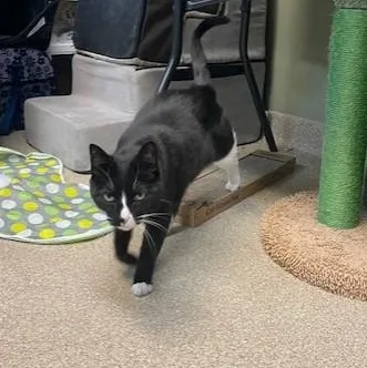 Waverly Grace thumbnail 5