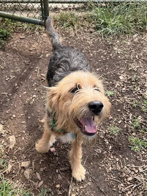 Max