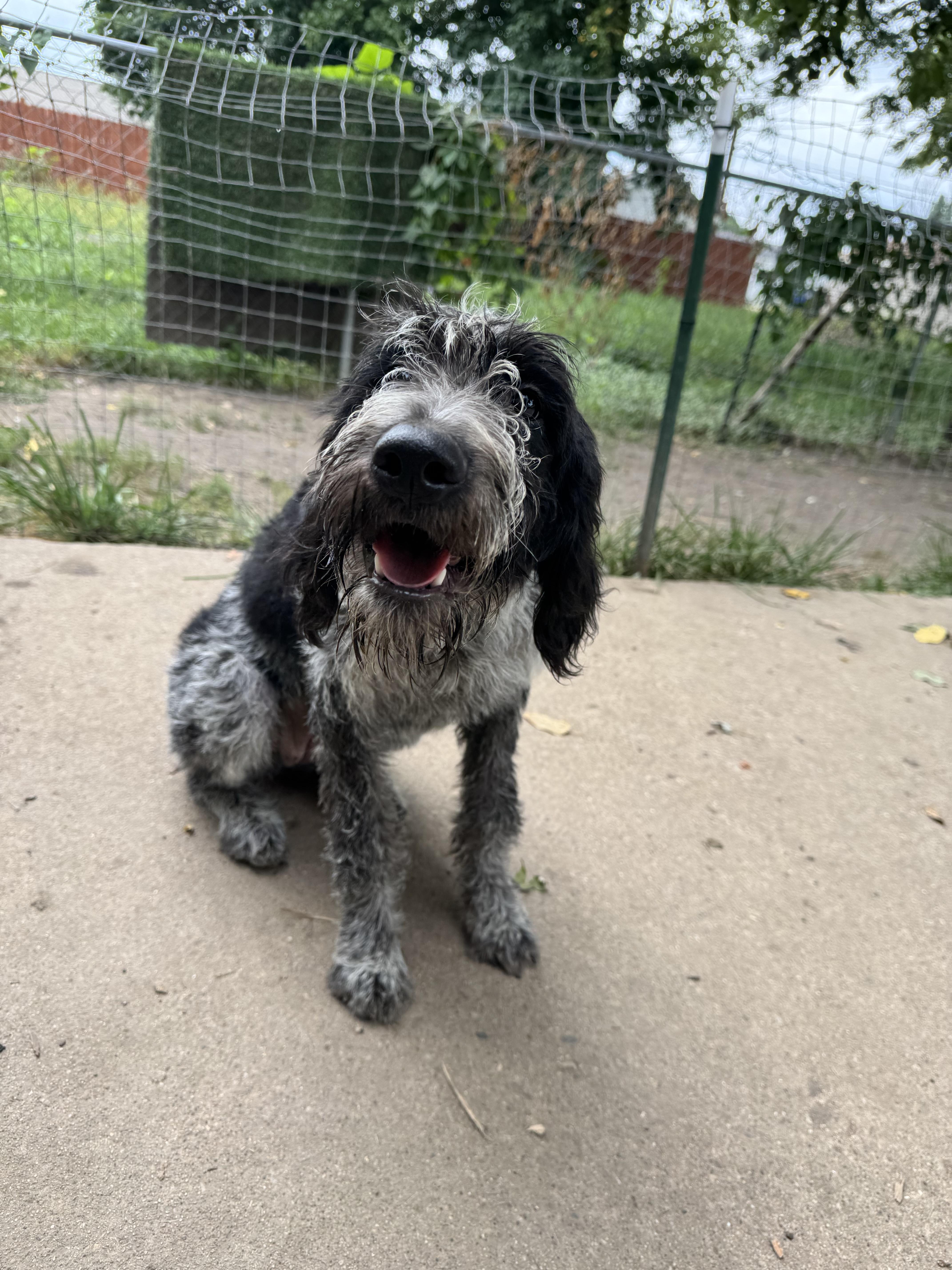 Juno the best sweetest thumbnail 3