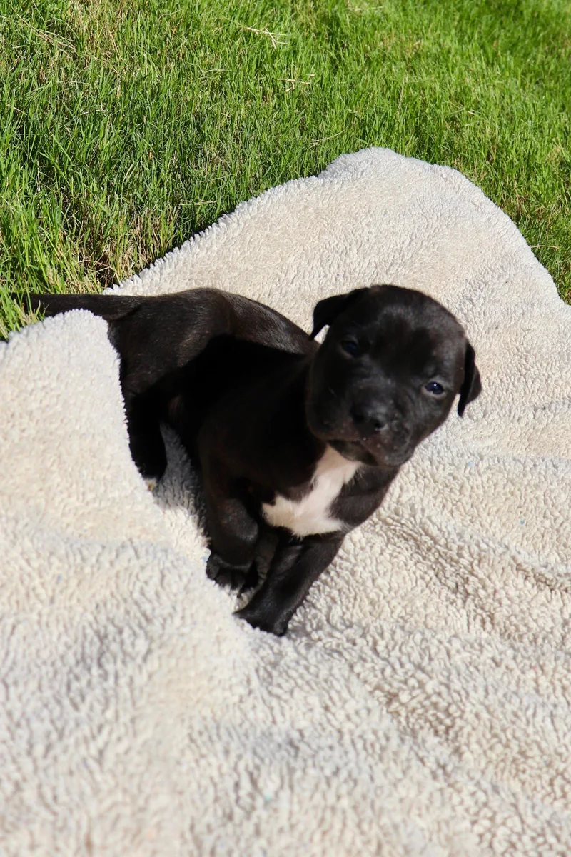 Duncan  The Sweetest thumbnail 2