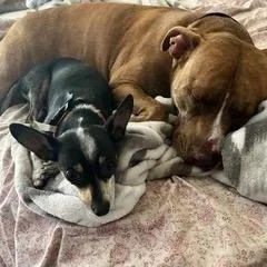 Queen Bonnie thumbnail 2