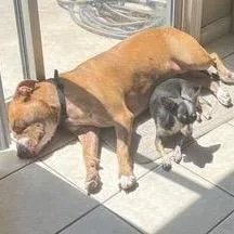 Queen Bonnie thumbnail 3