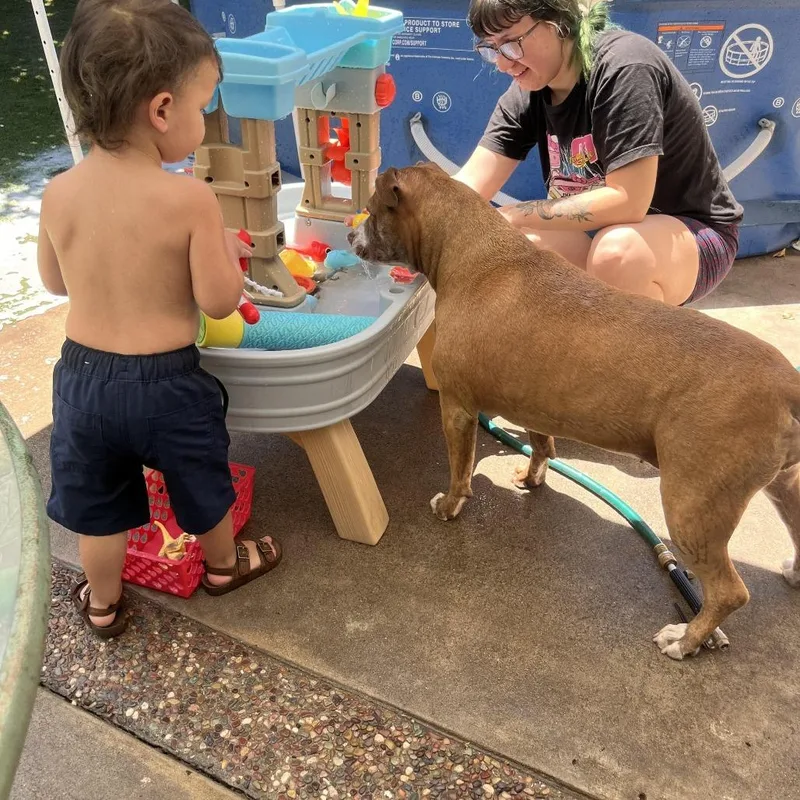 Queen Bonnie thumbnail 4