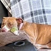 Queen Bonnie thumbnail 5