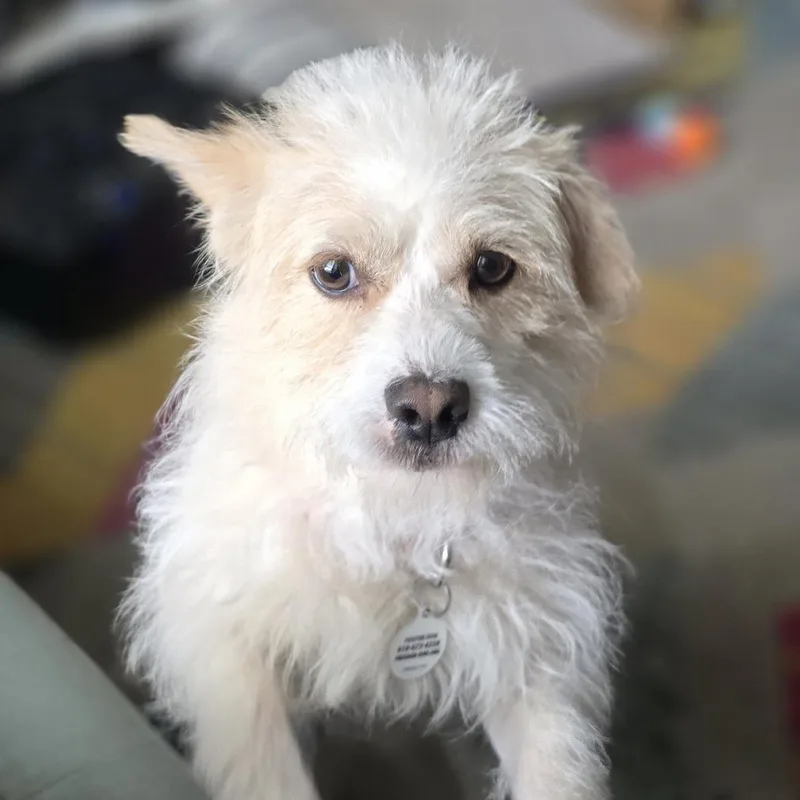 Finley