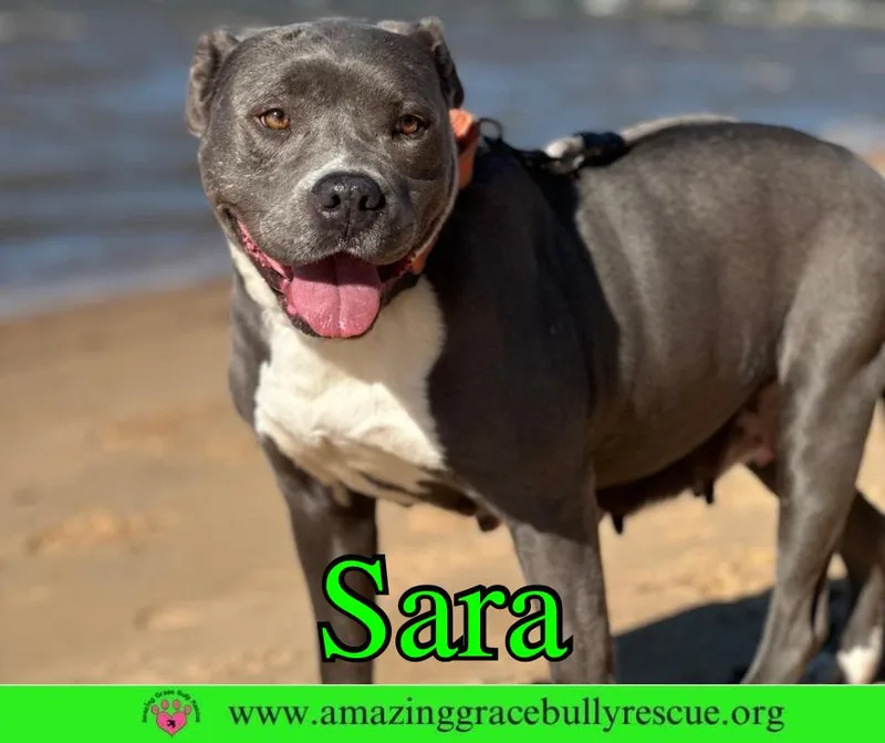 Sara