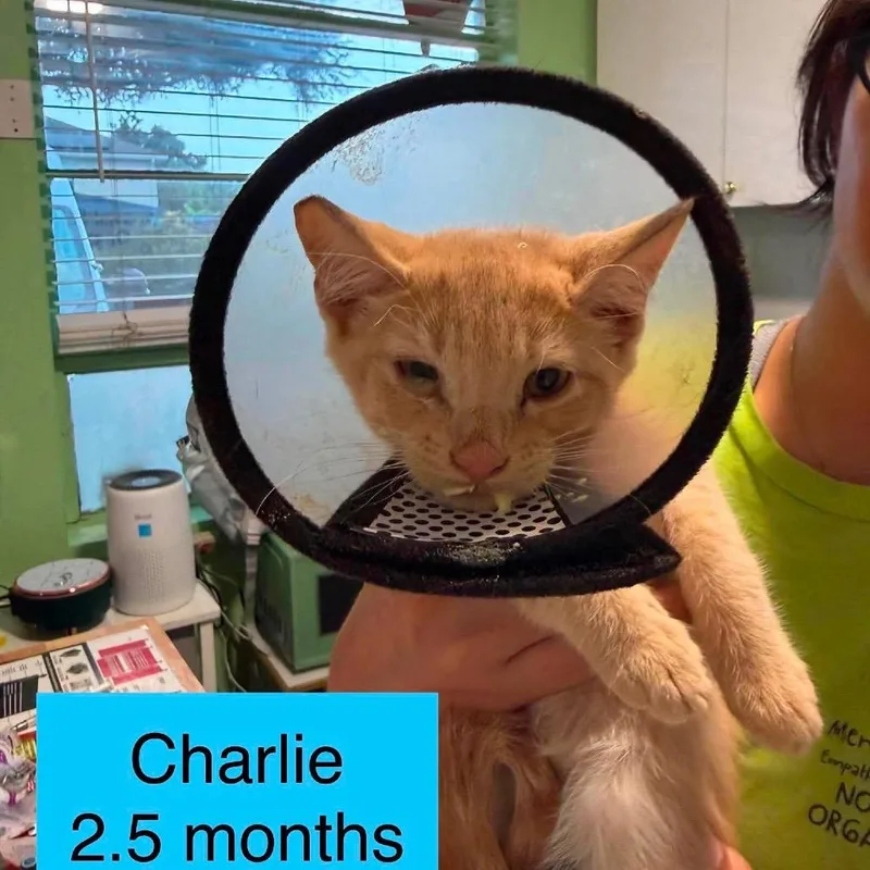 Charlie