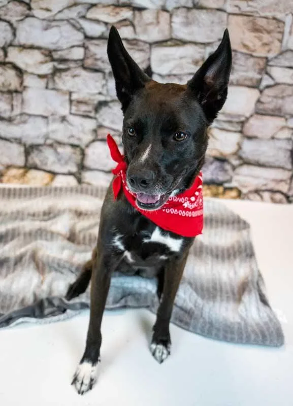 Jacquelyn thumbnail 2