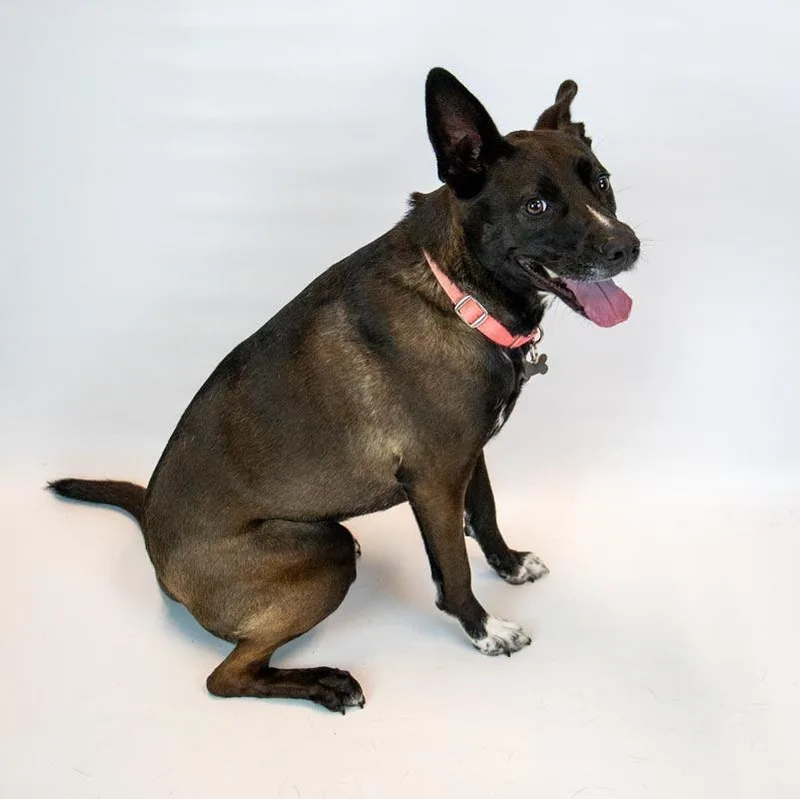 Jacquelyn thumbnail 3