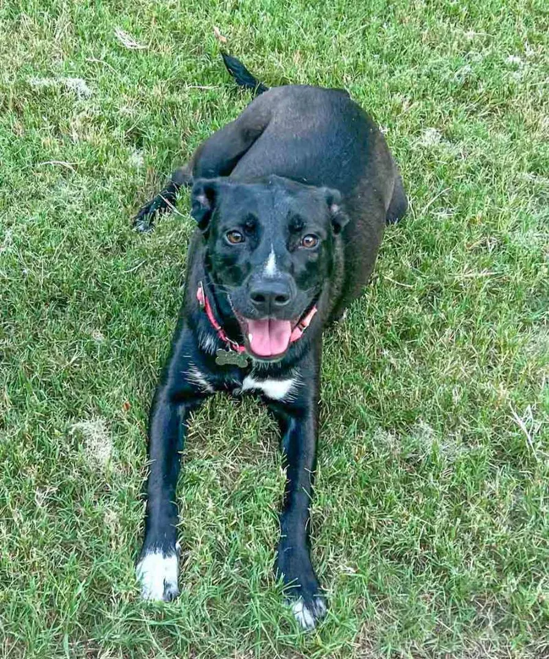 Jacquelyn thumbnail 4