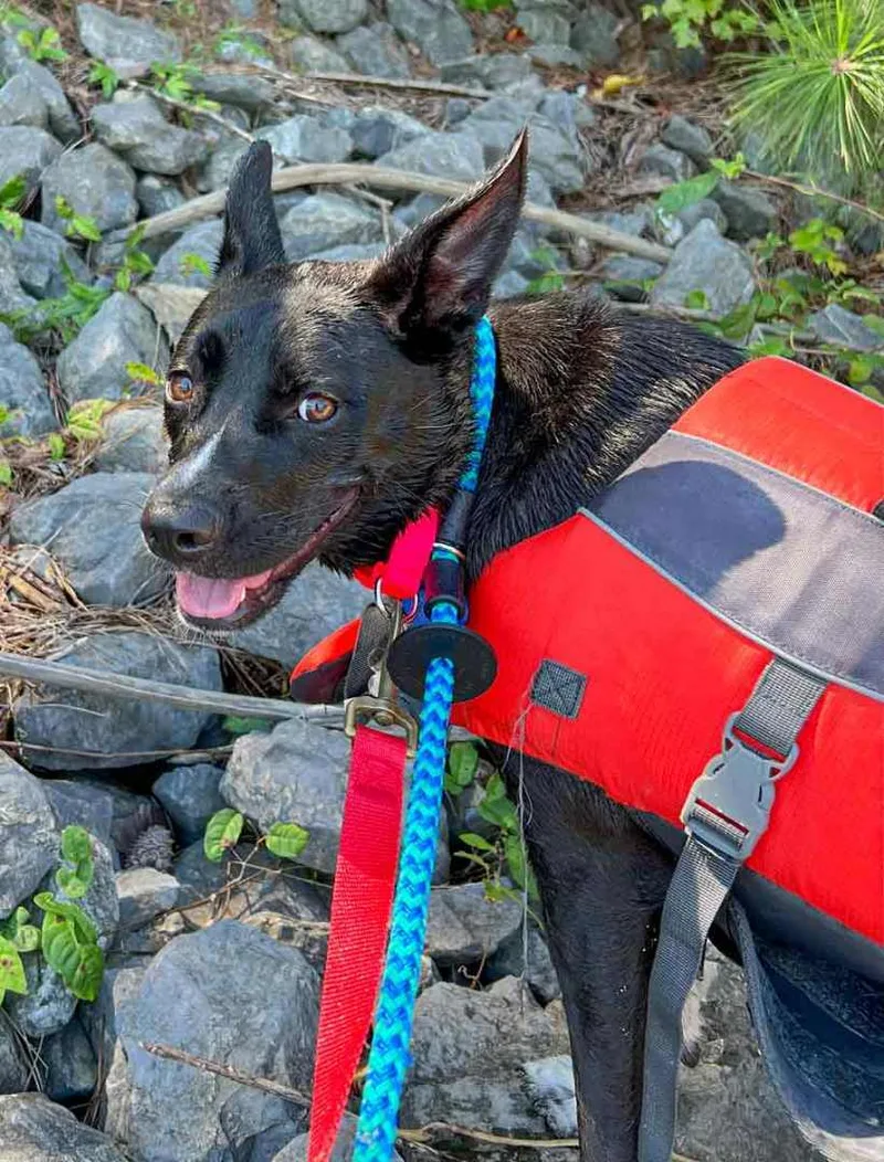 Jacquelyn thumbnail 5