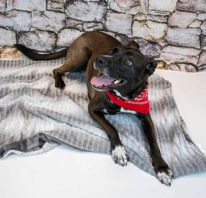 Jacquelyn thumbnail 6