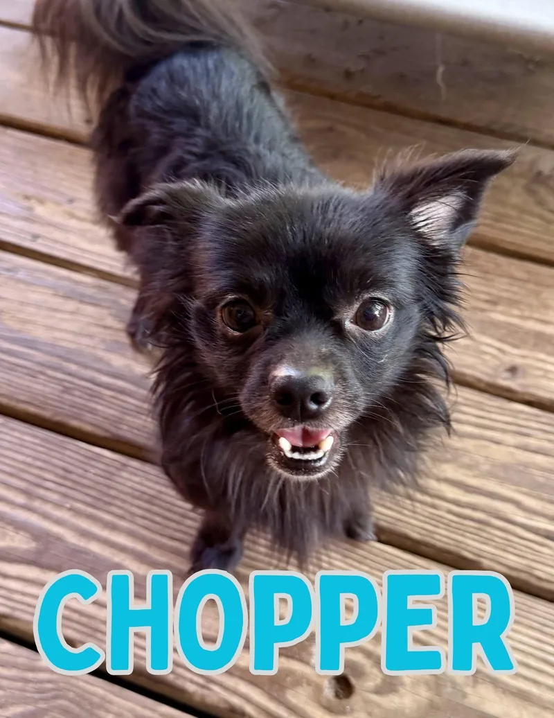 Chopper