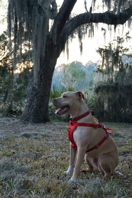 Tucker Montgomery thumbnail 2