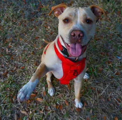 Tucker Montgomery thumbnail 3