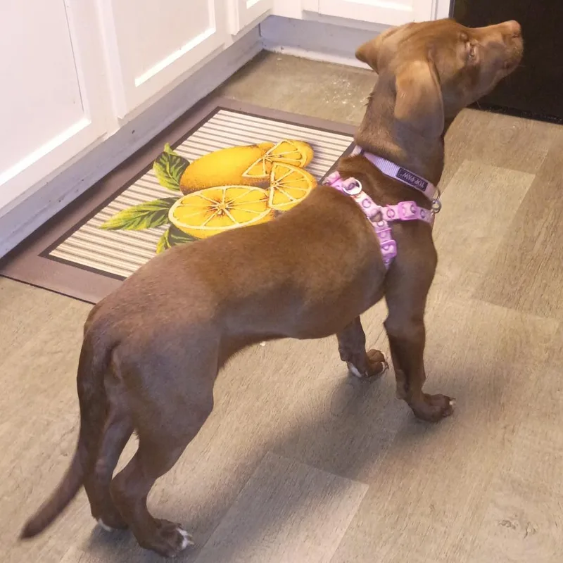 Kissy Suzuki thumbnail 2