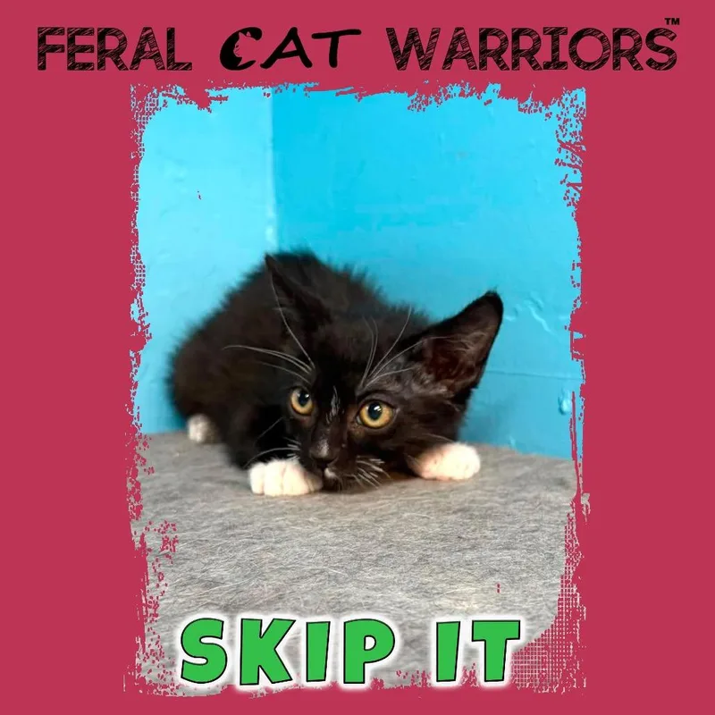 Skip It