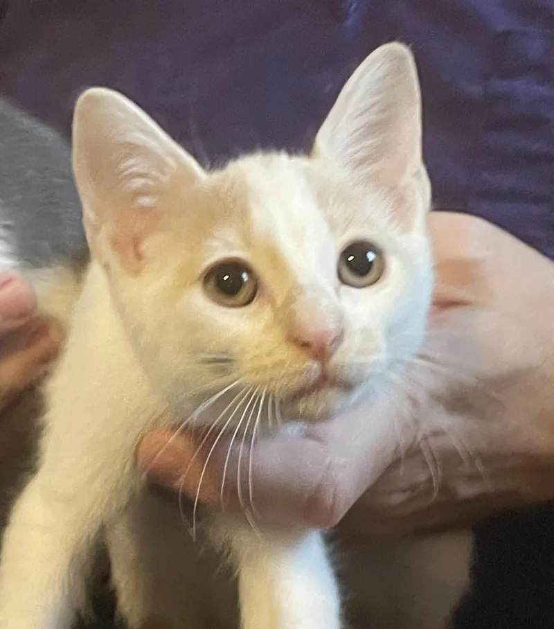 Crosby is a teeny thumbnail 6