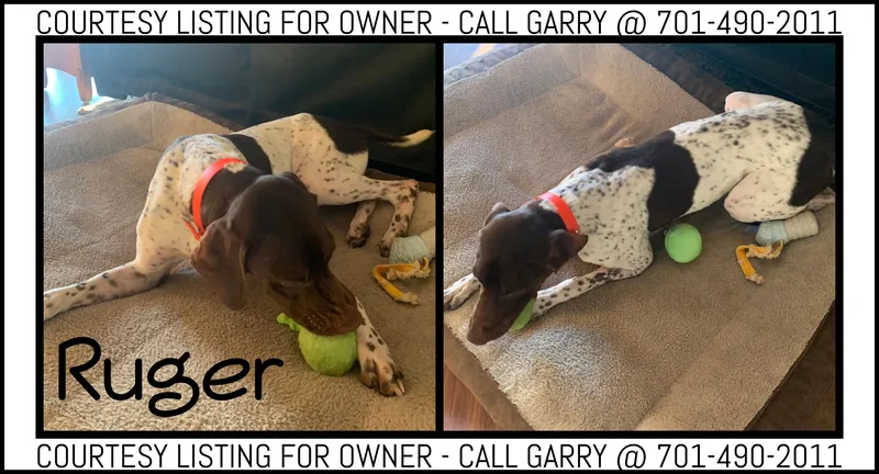 Ruger COURTESY LISTING