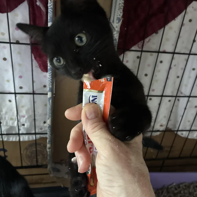 Parker N  From thumbnail 6