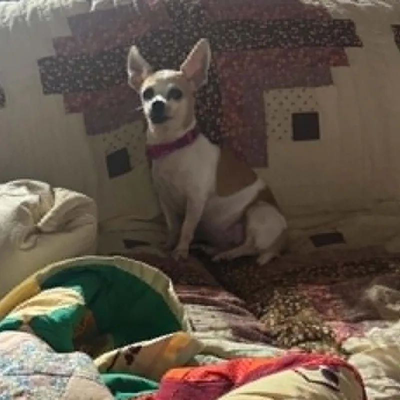 Lizzy thumbnail 3