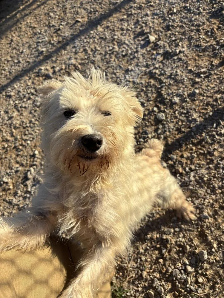 Ernie thumbnail 2