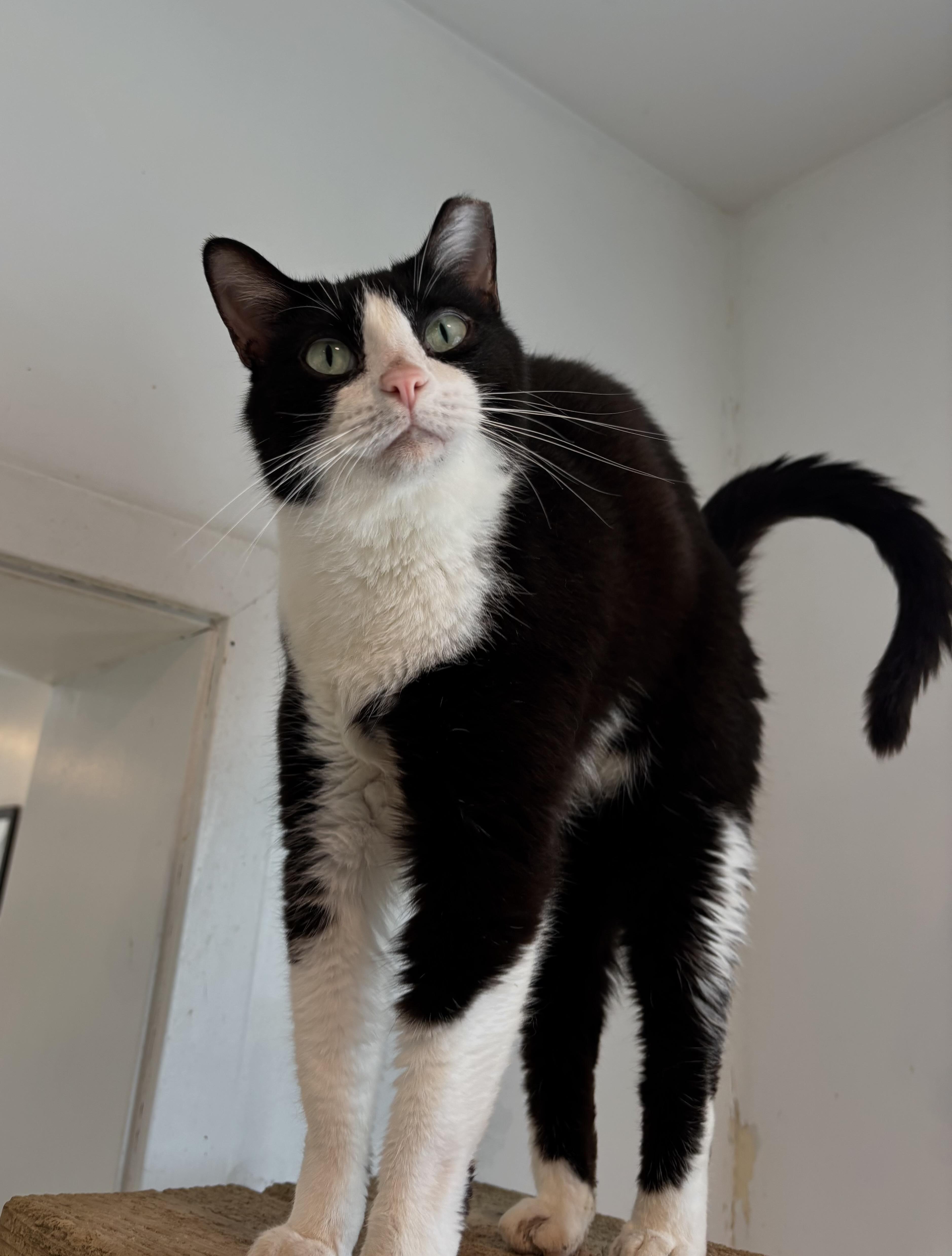 Rita  The Tilted thumbnail 2