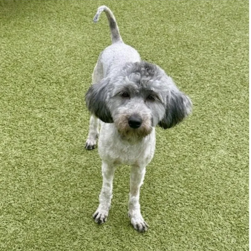 Billie Jean thumbnail 4