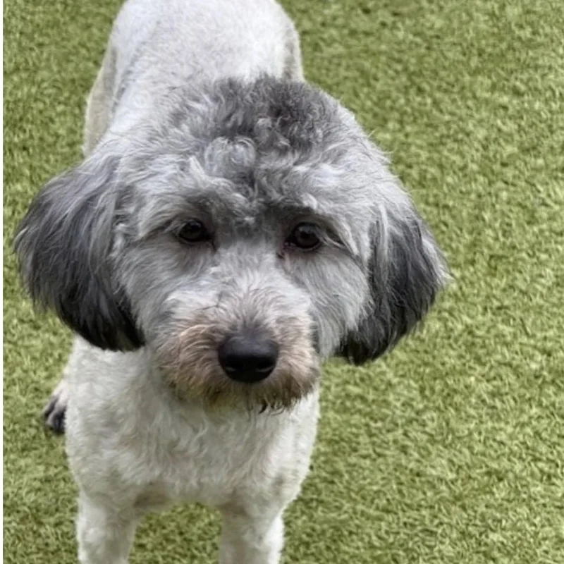 Billie Jean thumbnail 5