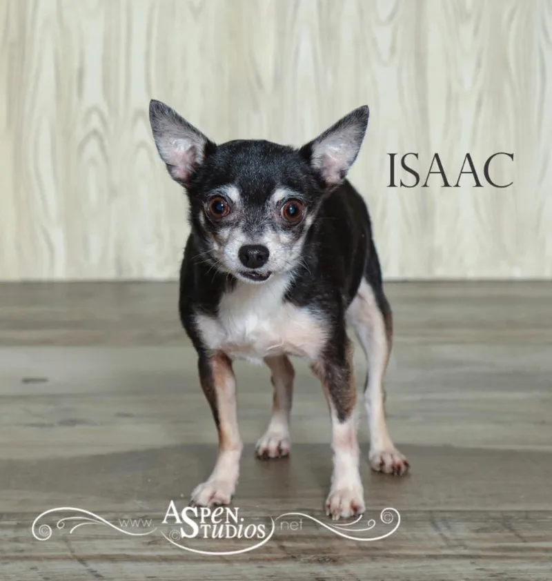 Isaac