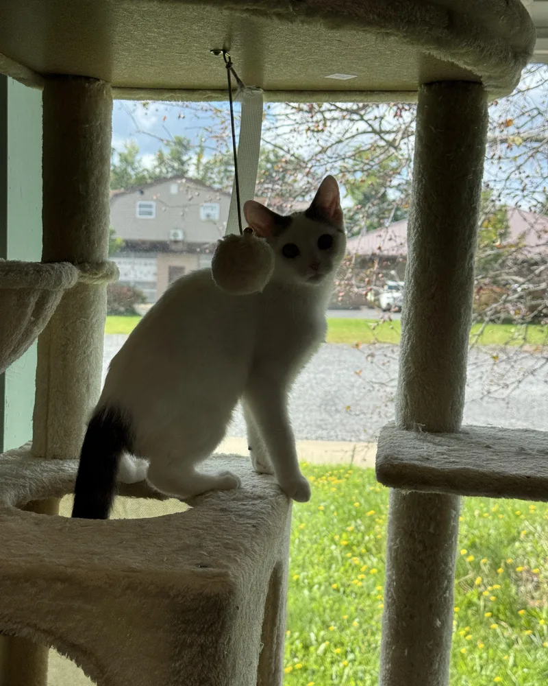 Snickers & Milky Way thumbnail 3