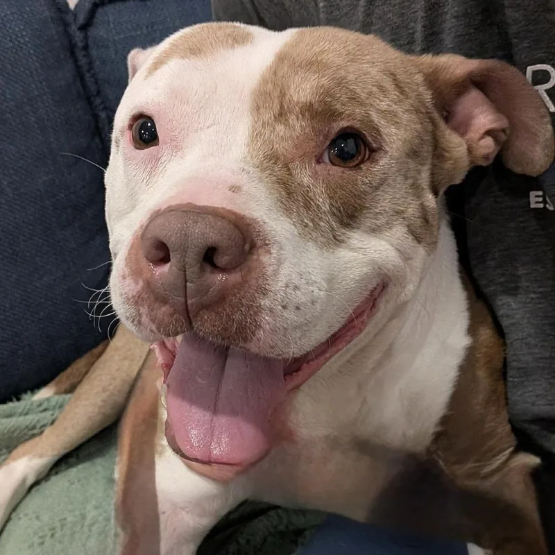 Crisanta thumbnail 6