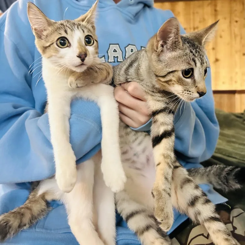 Lover Boy thumbnail 3