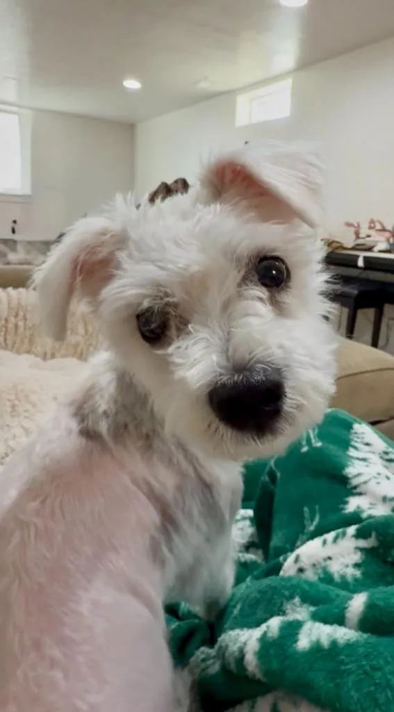 Janice thumbnail 5