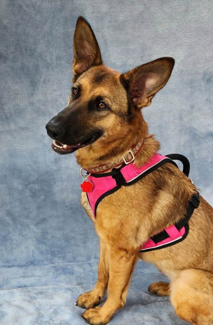 Samantha thumbnail 2