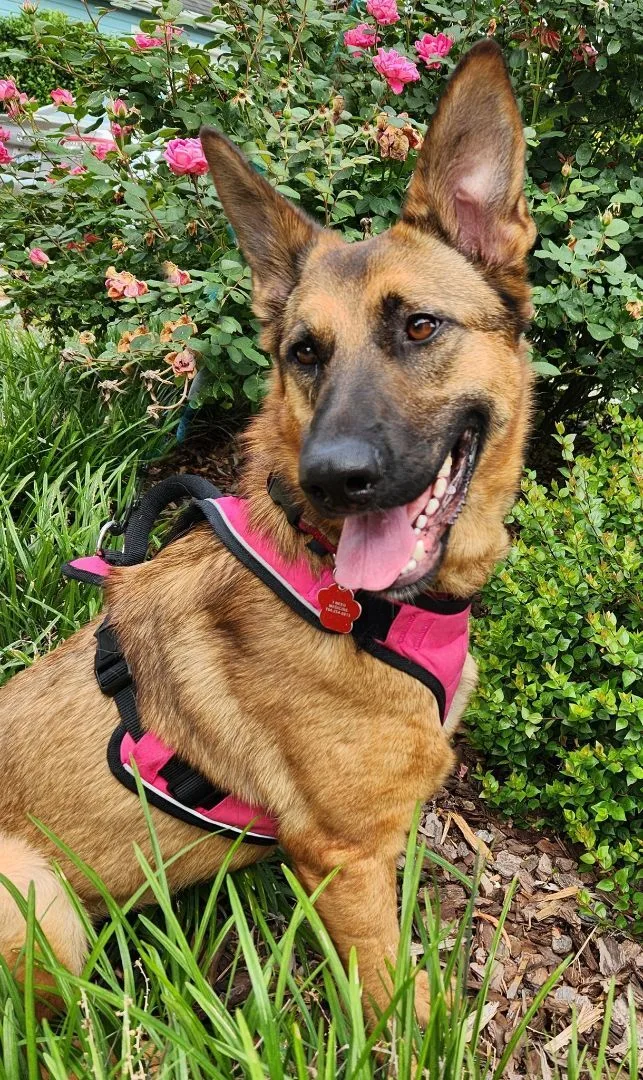 Samantha thumbnail 3