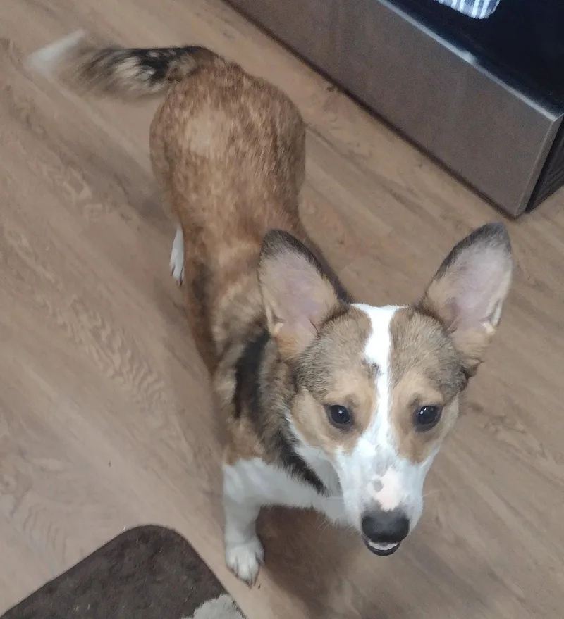 Zoey Mae thumbnail 2