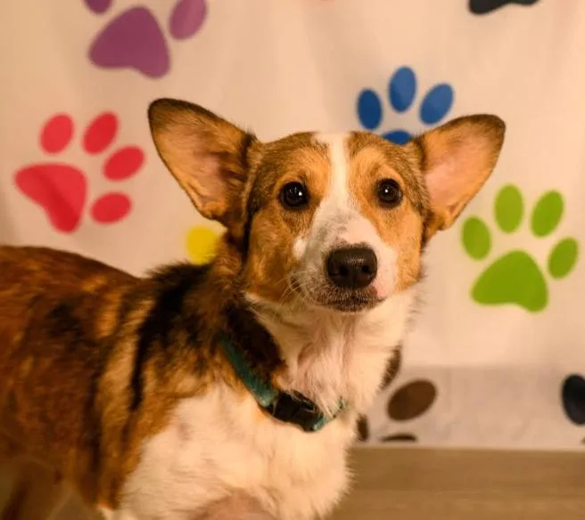 Zoey Mae thumbnail 3