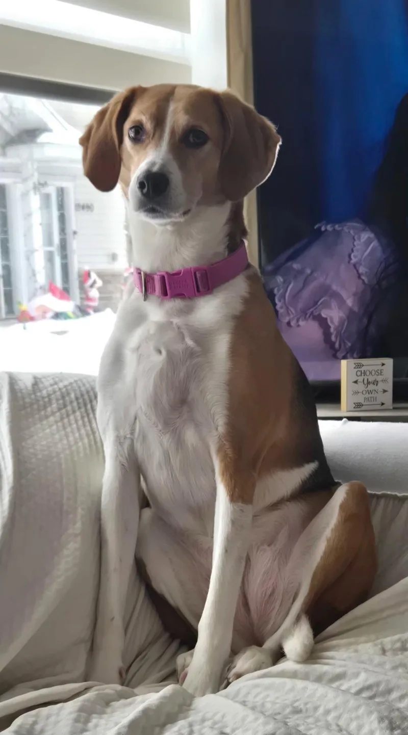 Zoe