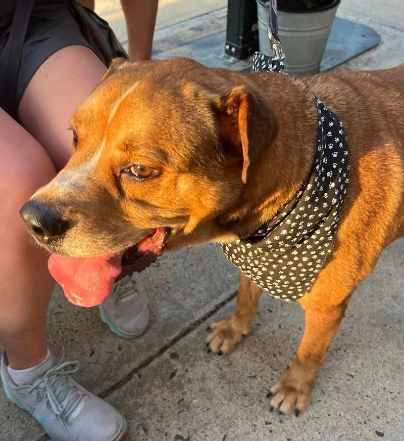 Franklin thumbnail 2