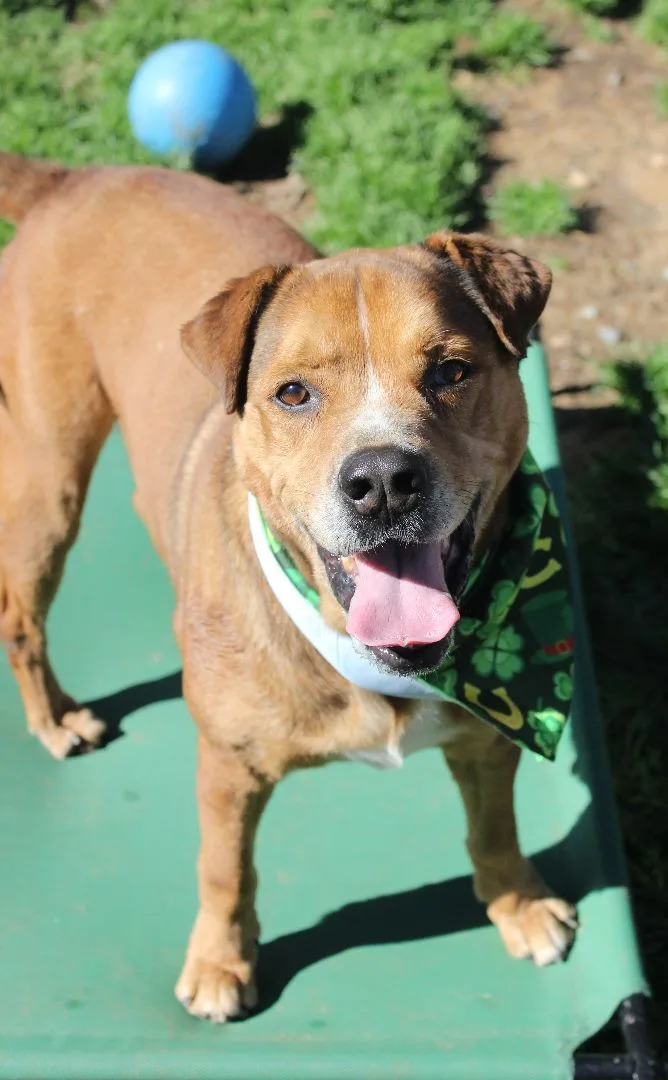 Franklin thumbnail 5