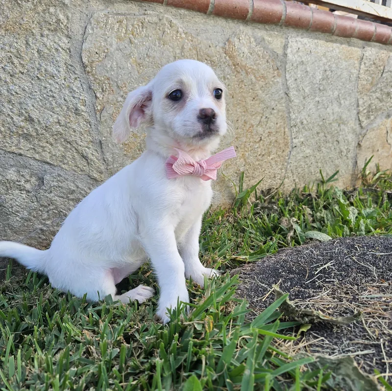 Maggie thumbnail 3