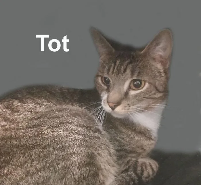 Totfuh.gran. thumbnail 2